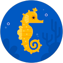 Oceanside Amg profile picture