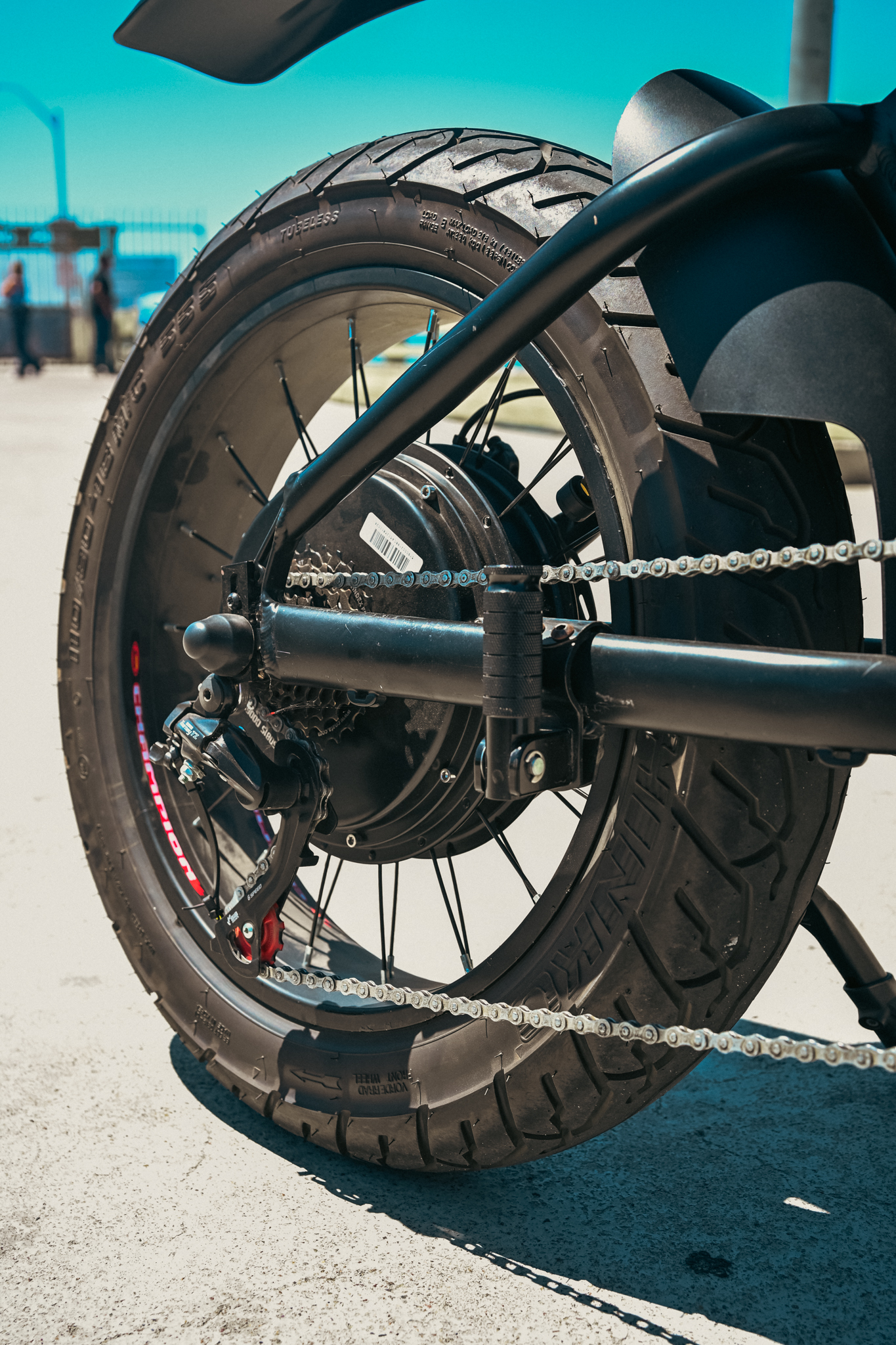 QS205 rear hub motor in wheel with chain drive and cassette